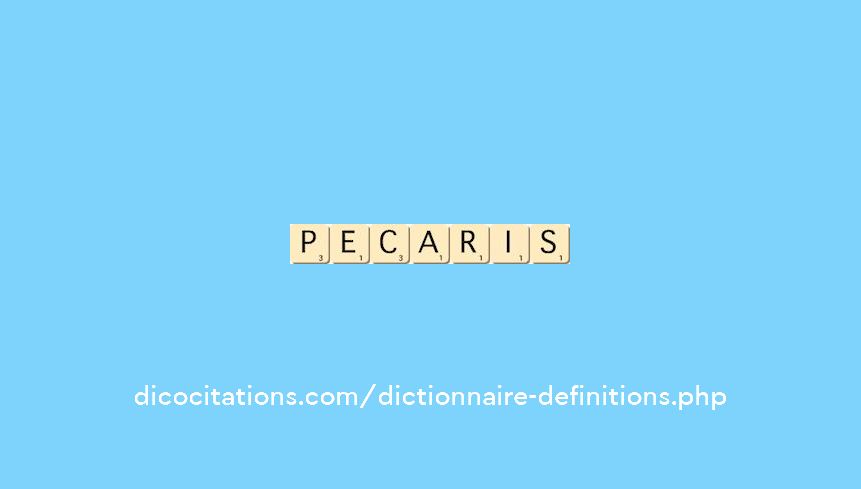 pecaris pecaris