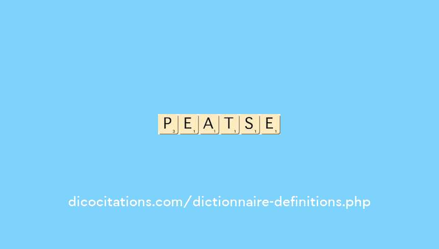 pedantisme
