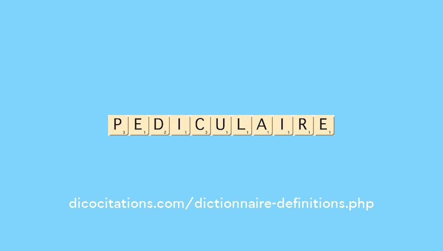 pediculaire