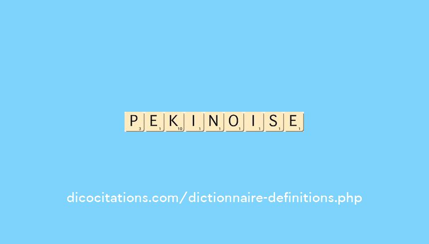 pekinoise pekinoise