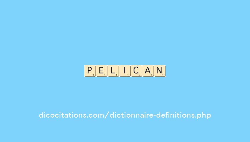 pelican pelican