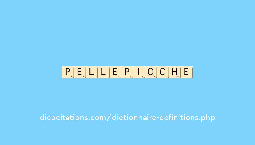 pelle-pioche pelle-pioche