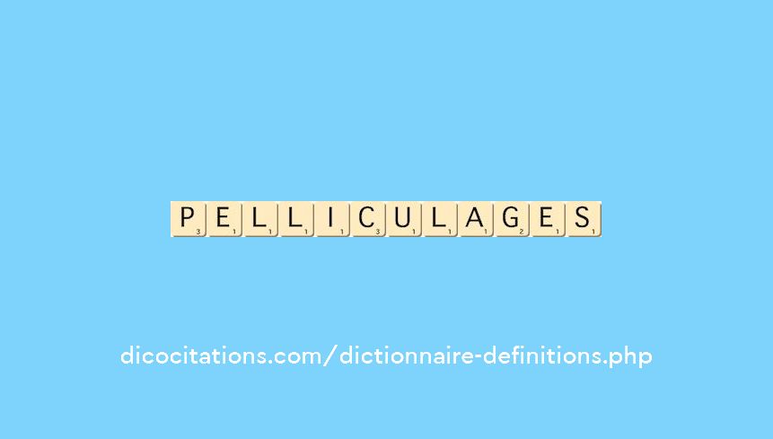 pelliculages pelliculages