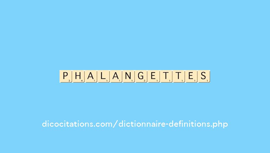 phalangettes phalangettes