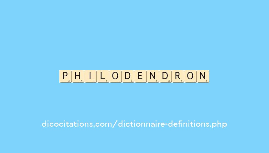 philodendron
