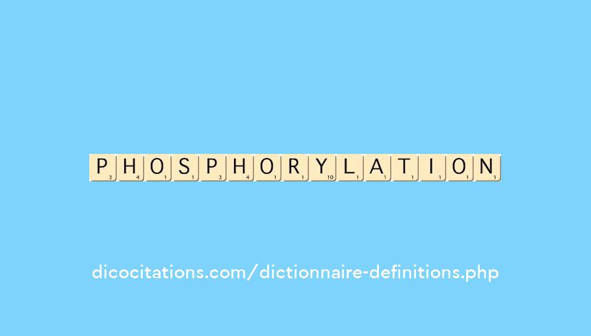 phosphorylation