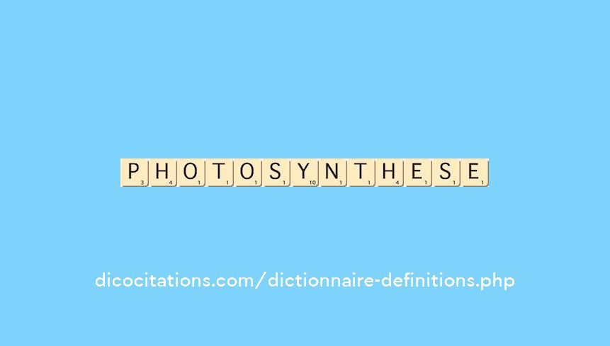 photosynthese photosynthese