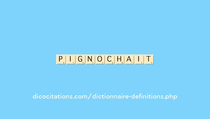 pignochait pignochait