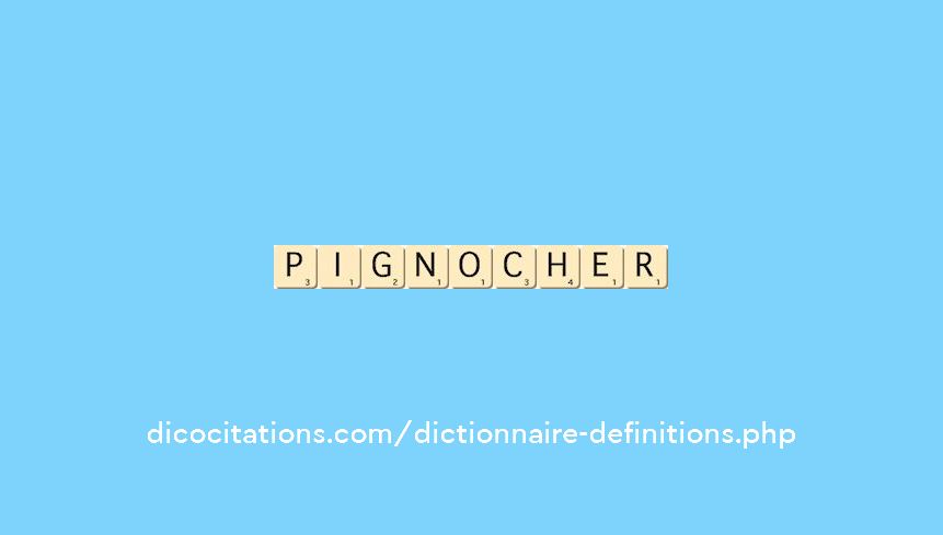 pignocher
