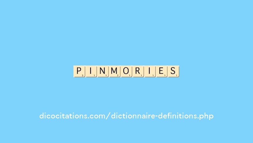 pin-mories