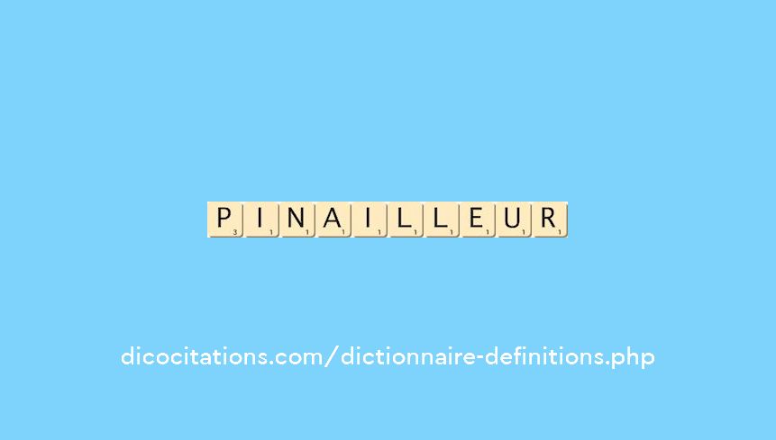 pinailleur pinailleur