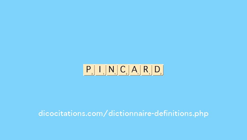 pincard pincard