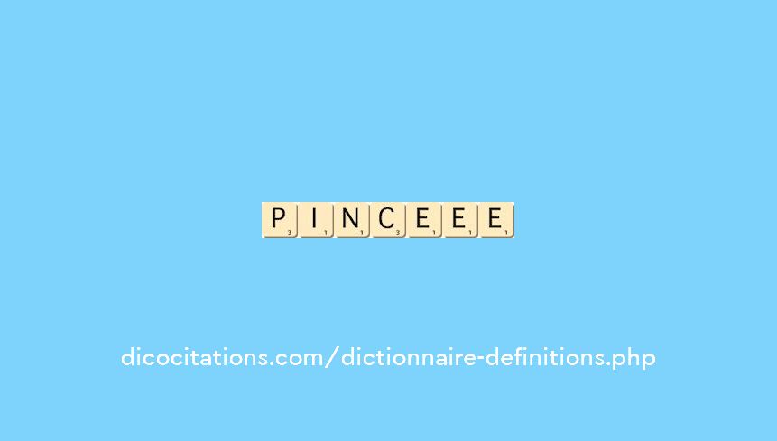 pince--ee