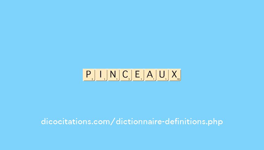 pinceaux pinceaux