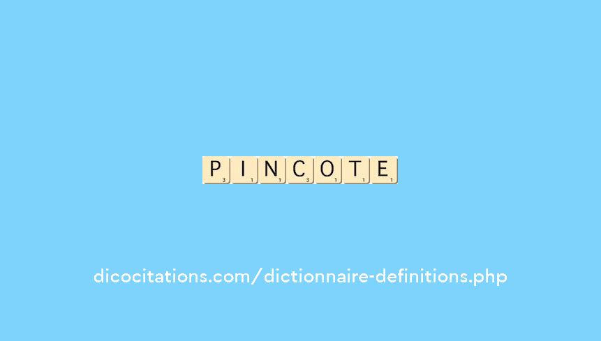 pincote pincote