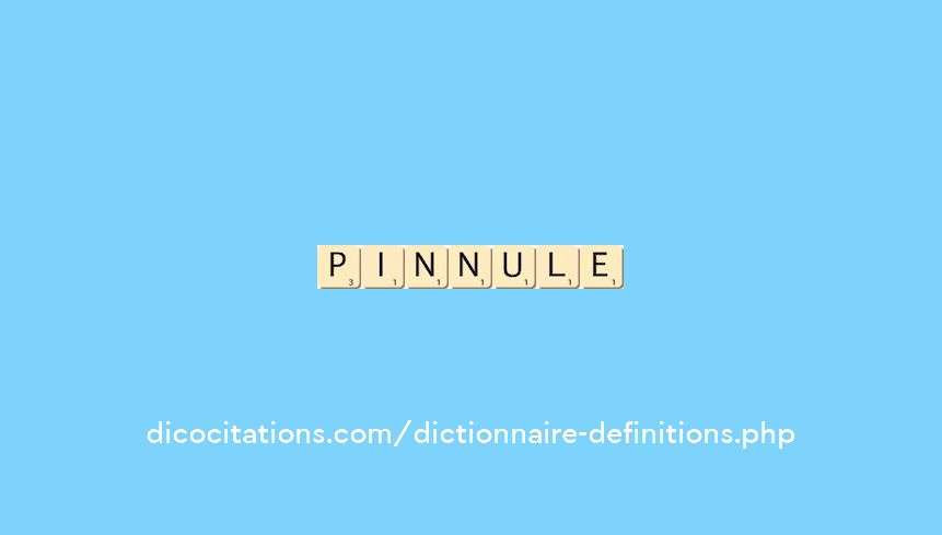 pinnule