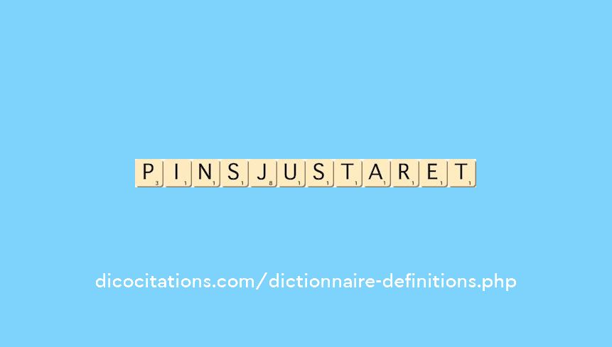 pins-justaret