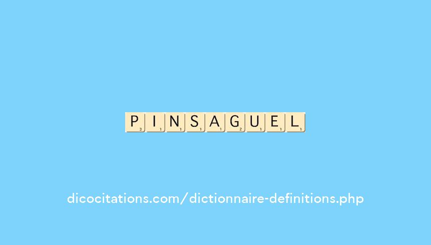 pinsaguel