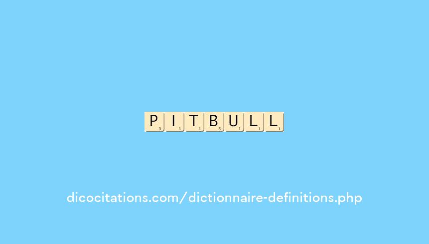 pit-bull pit-bull