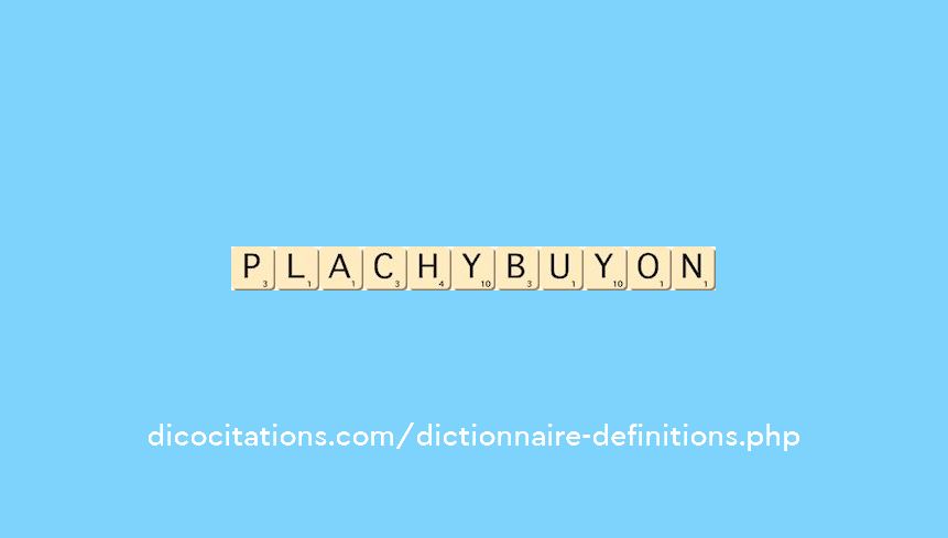 plachy-buyon