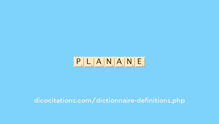 plan--ane