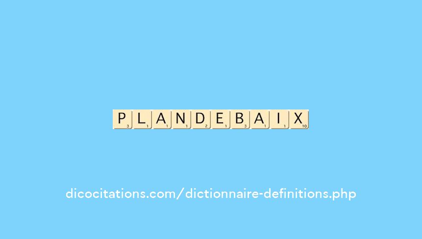 plan-de-baix