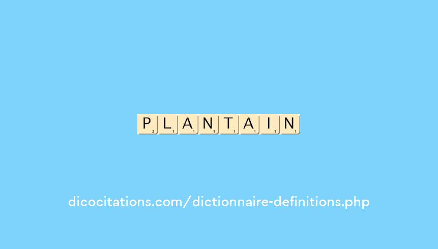 plantain