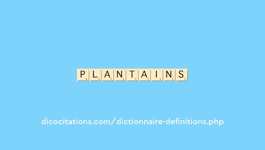 plantains plantains