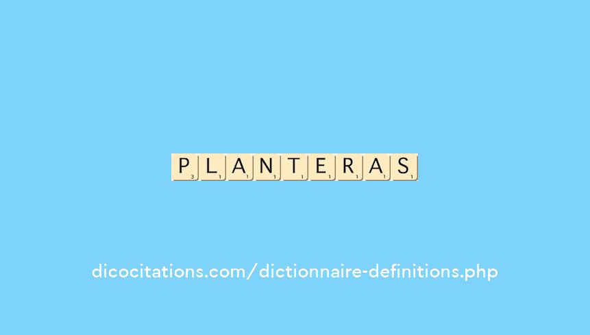 planteras planteras