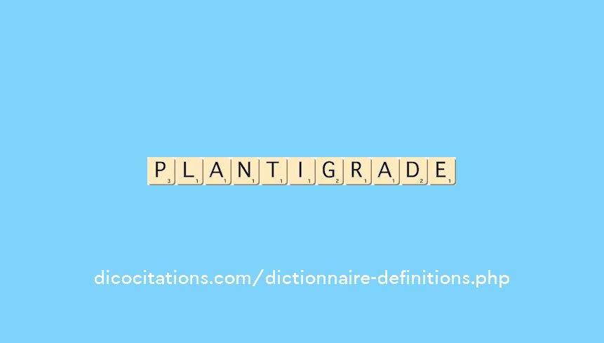 plantigrade plantigrade