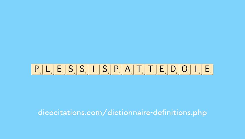 plessis-patte-d-oie