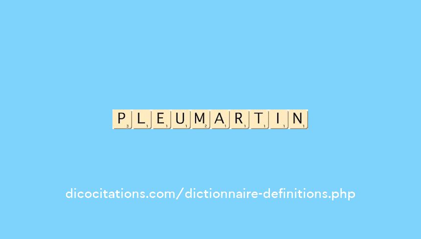 pleumartin