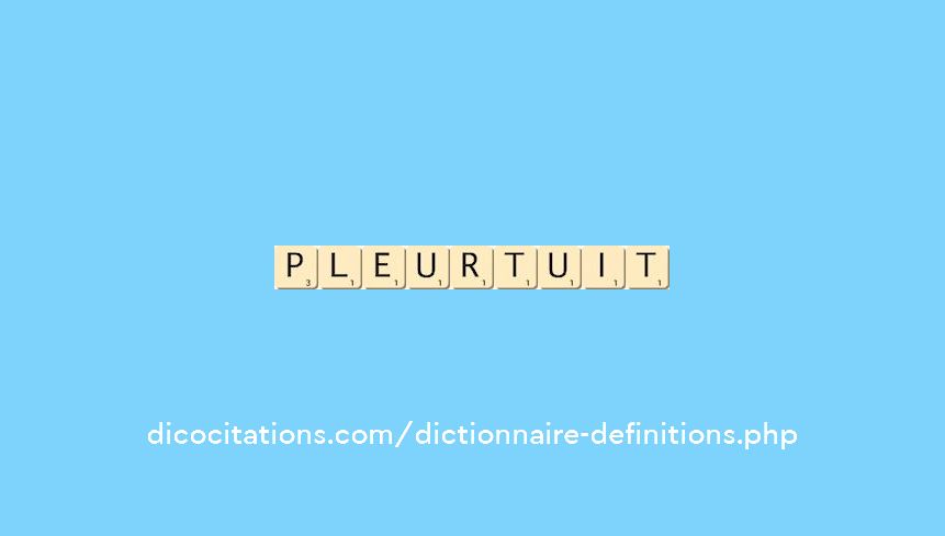 pleurtuit