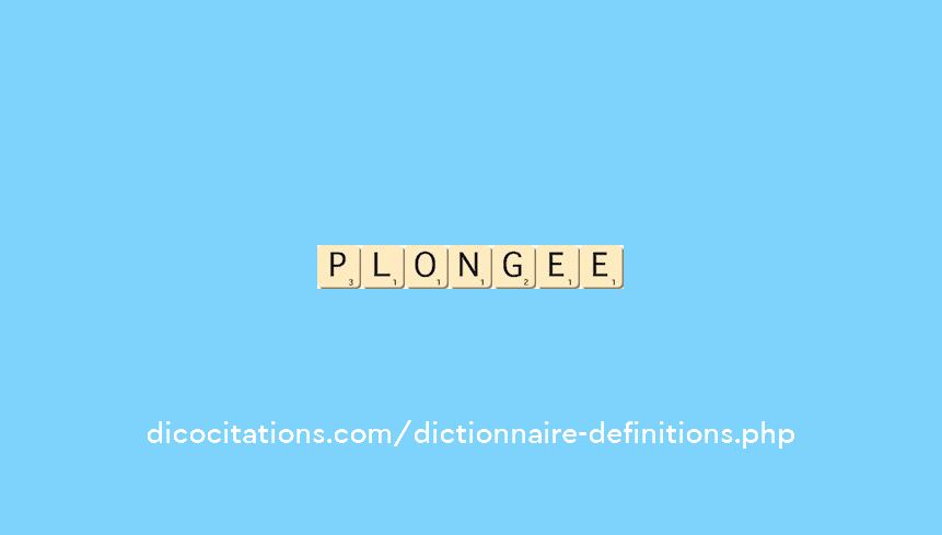 plongee