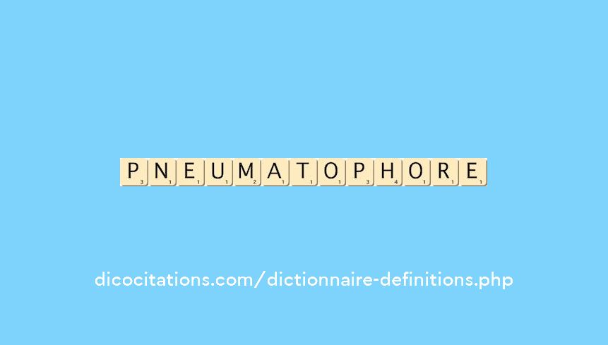 pneumatophore pneumatophore