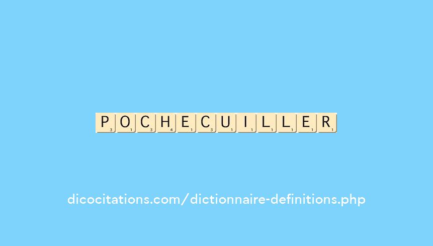 poche-cuiller