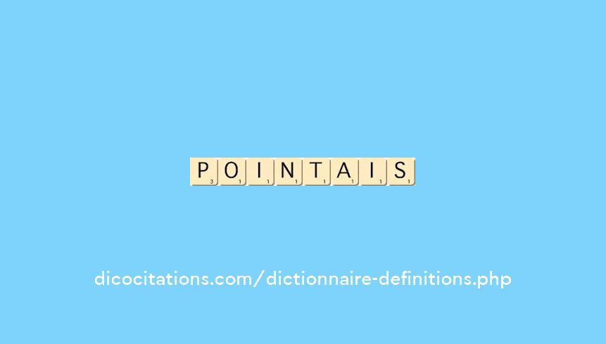 pointais pointais