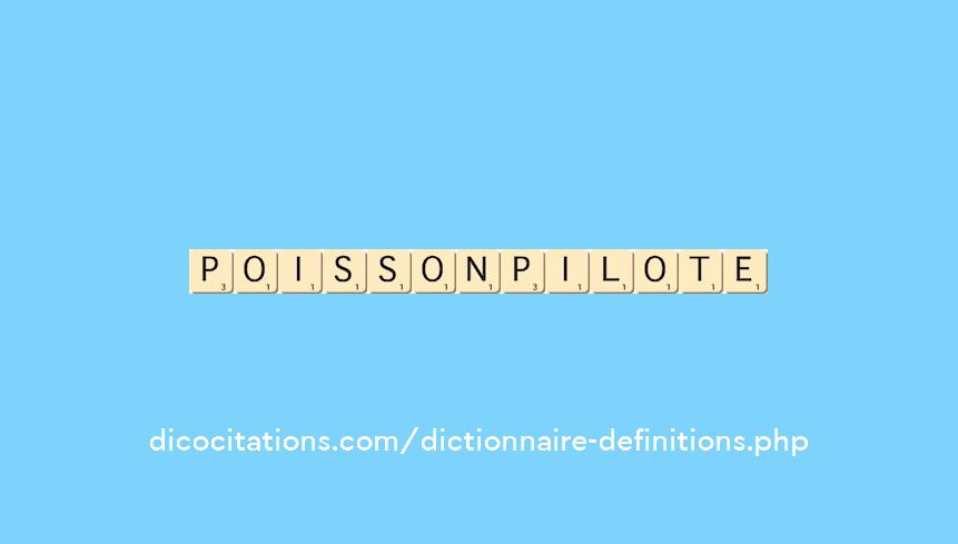 poisson-pilote poisson-pilote