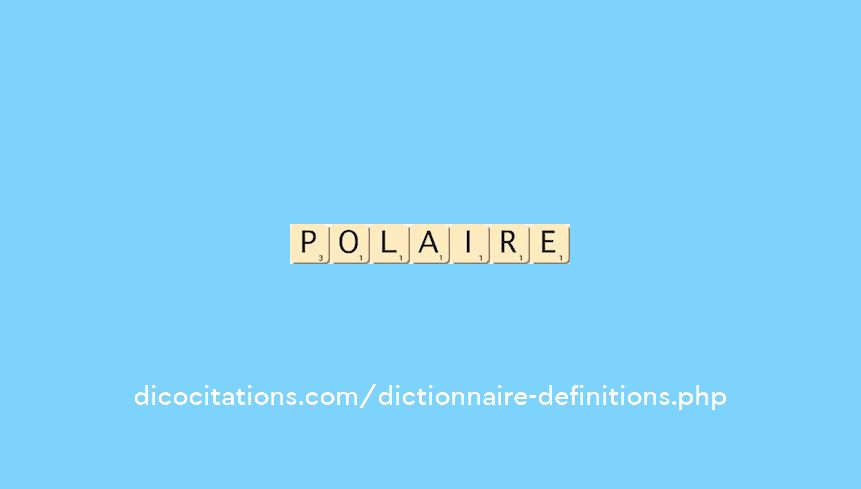 polaire polaire