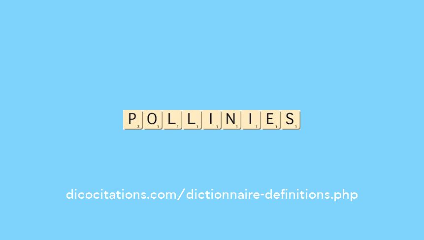pollinies pollinies