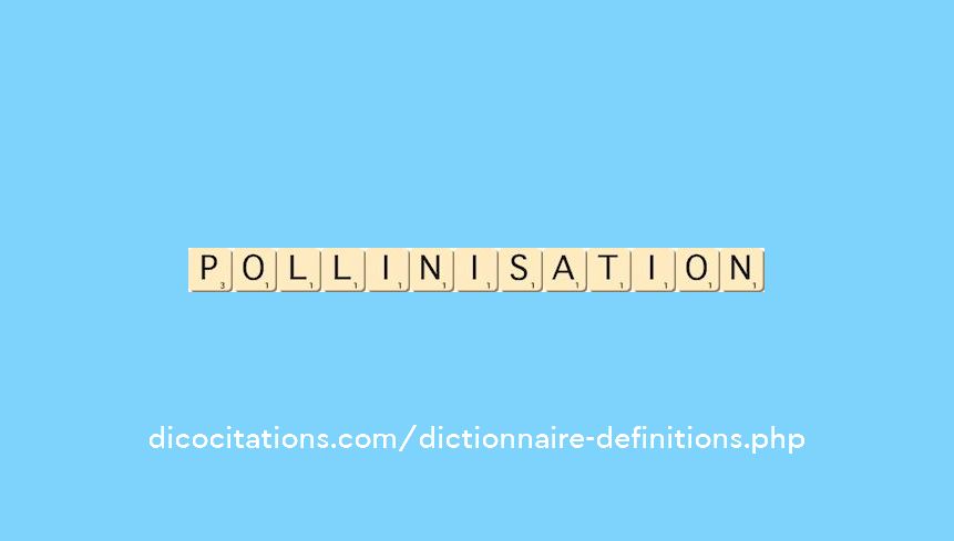 pollinisation