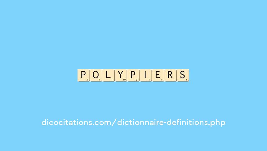 polypiers polypiers
