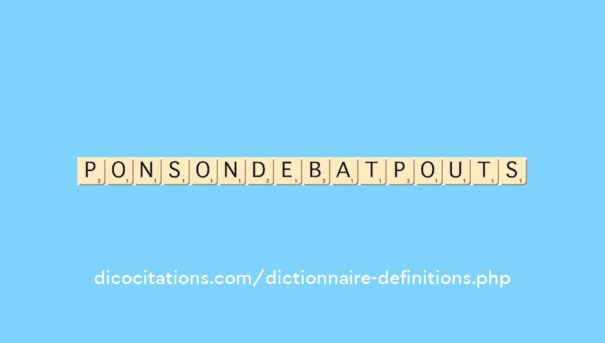 ponson-debat-pouts