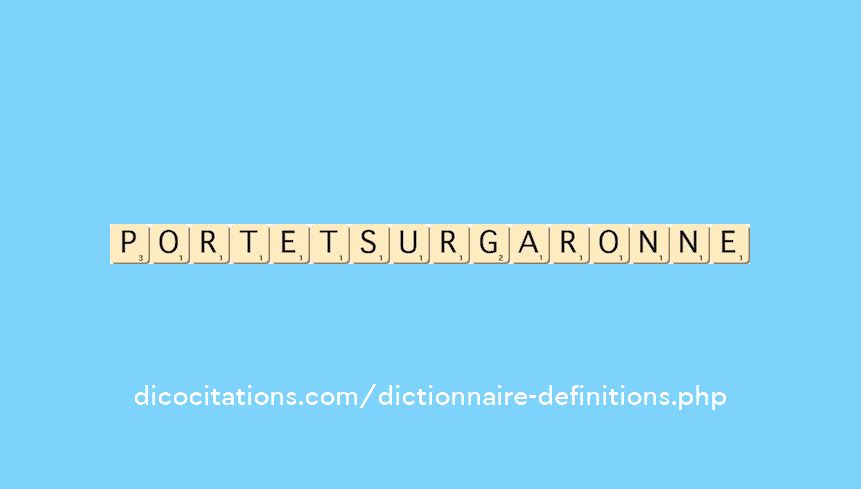 portet-sur-garonne