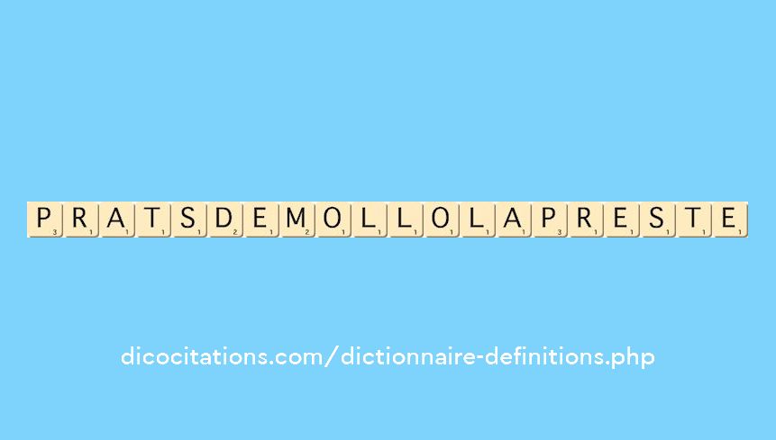 prats-de-mollo-la-preste