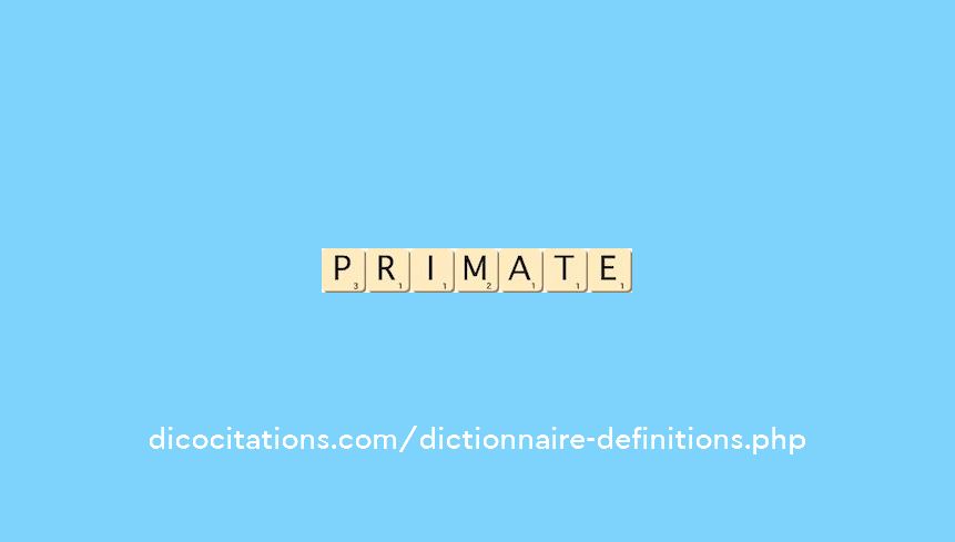 primate primate