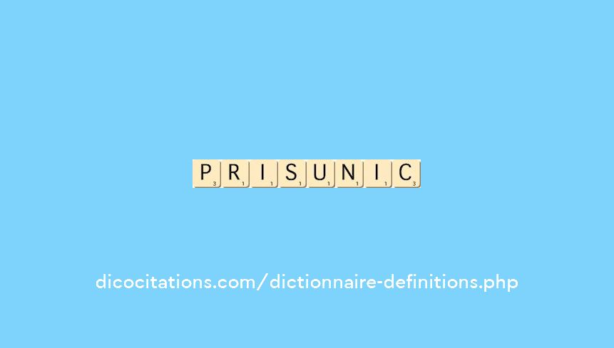 prisunic prisunic