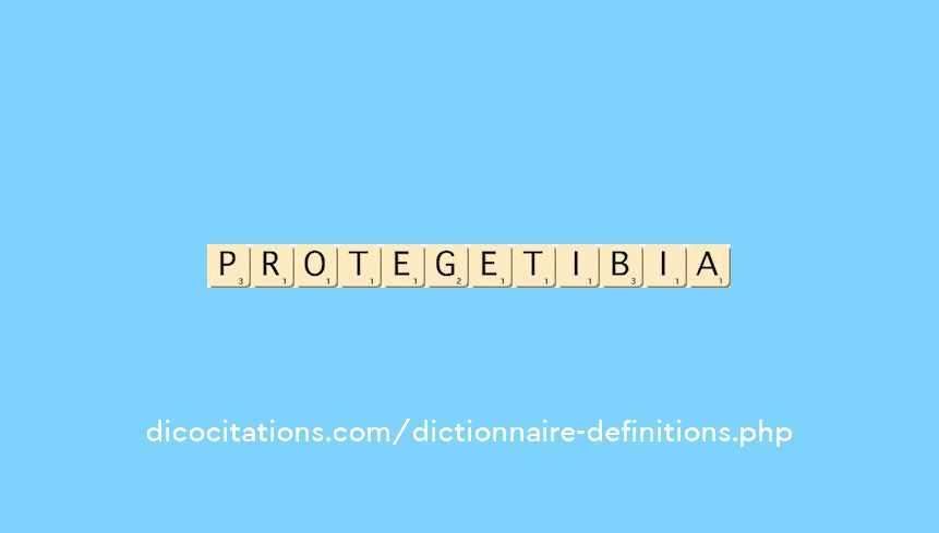 protege-tibia protege-tibia