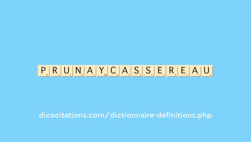prunay-cassereau