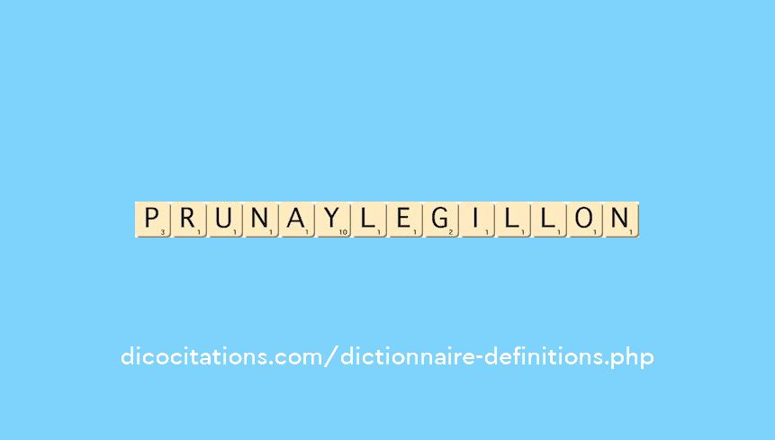 prunay-le-gillon